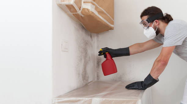 Professional Attic Mold Remediation technician working in Hasbrouck Heights, NJ