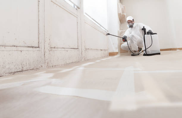 24/7 Emergency Attic Mold Remediation experts in Hasbrouck Heights, NJ