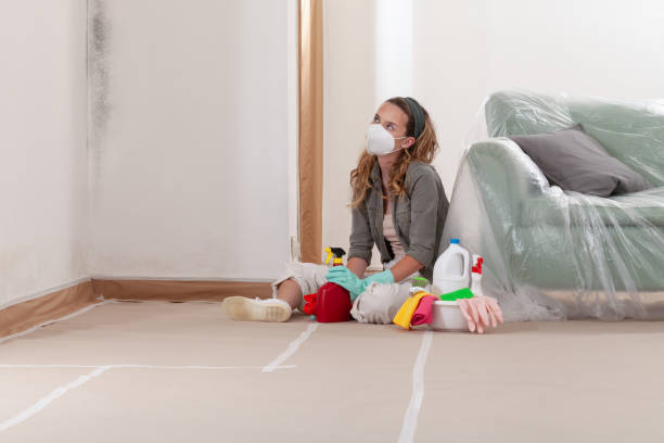 Reliable Attic Mold Remediation contractor in Hasbrouck Heights, NJ by Mold Remediation HQ