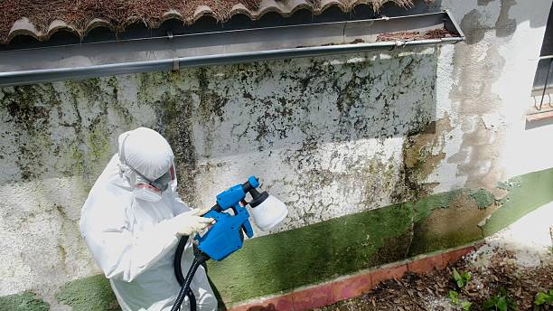 Top rated local Attic Mold Remediation specialists in Hasbrouck Heights, NJ